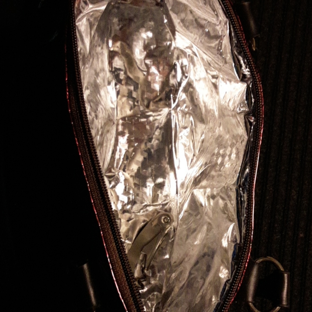 SOLD. Insulated wine bottle purse - Picture 2 of 3